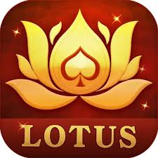 bit rummy download